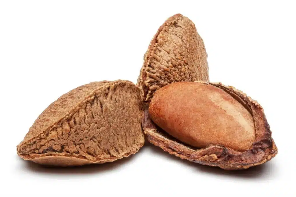 ¿Cuáles son los frutos secos más saludables? Top 10 según la ciencia 60 » Tienda VitaSport nueces de Brasil