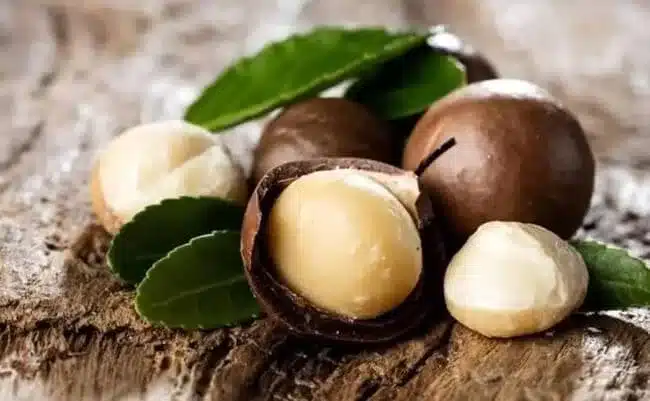 ¿Cuáles son los frutos secos más saludables? Top 10 según la ciencia 63 » Tienda VitaSport nueces de macadamia