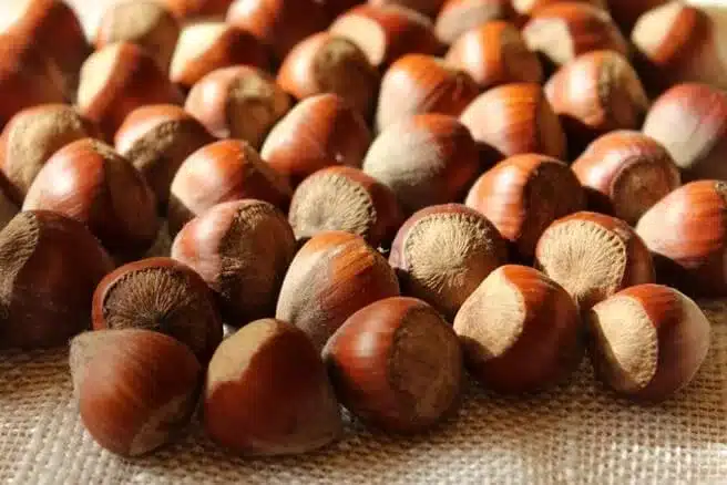 ¿Cuáles son los frutos secos más saludables? Top 10 según la ciencia 64 » Tienda VitaSport avellanas