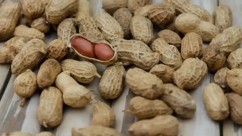 ¿Cuáles son los frutos secos más saludables? Top 10 según la ciencia 65 » Tienda VitaSport cacahuate