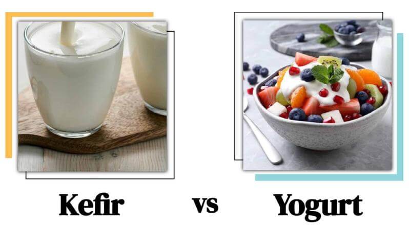 Kefir vs Yogur 1jpg