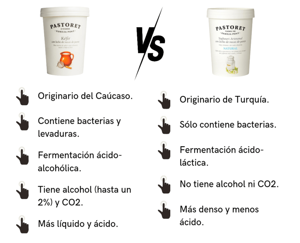 Kéfir vs Yogurt: ¿cuáles son sus diferencias? 2 » Tienda VitaSport Composición y fermentación diferencias