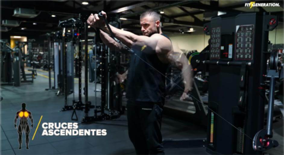 Cómo marcar la raya del pecho (muy estético) 50 » Tienda VitaSport La región superior del pectoral