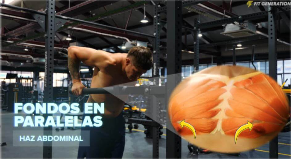 Cómo marcar la raya del pecho (muy estético) 53 » Tienda VitaSport Los fondos en paralelas