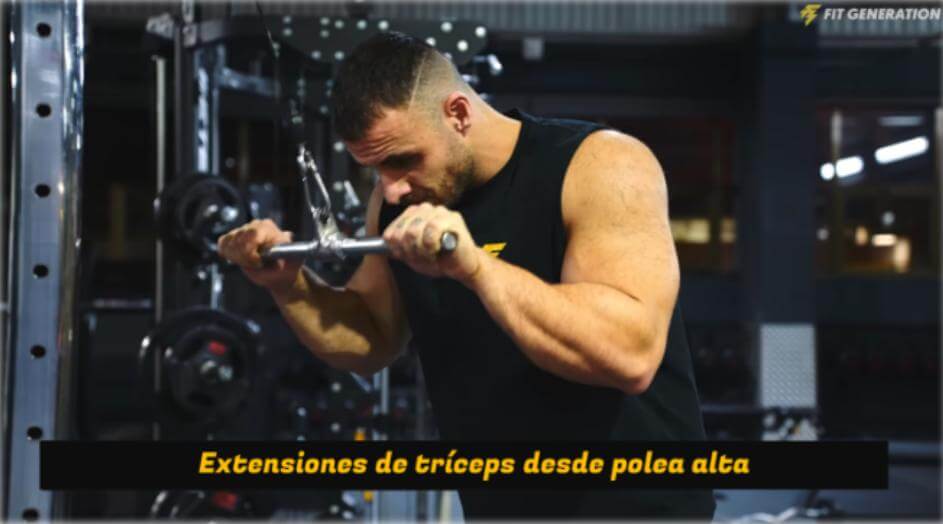 Extensiones de tríceps desde polea alta