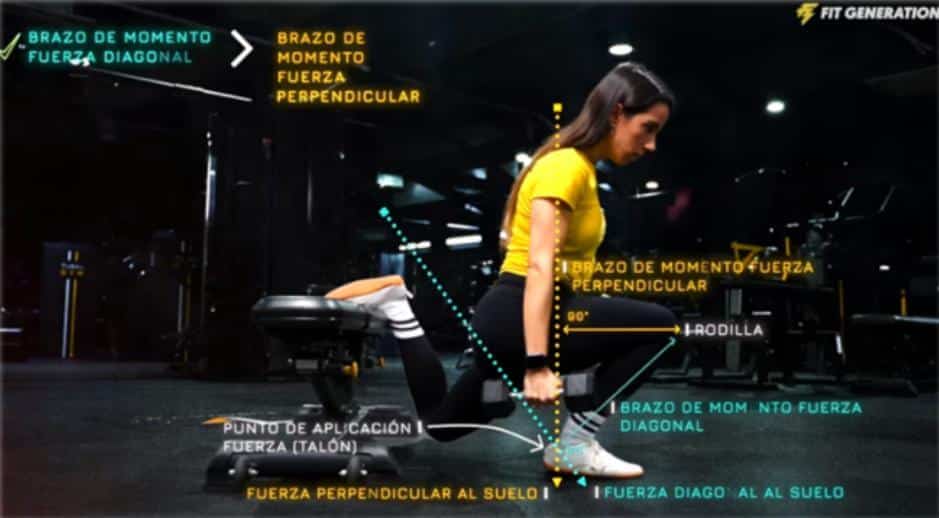 Cómo hacer sentadillas búlgaras correctamente 13 » Tienda VitaSport Intención de la fuerza aplicada
