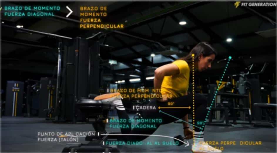 Cómo hacer sentadillas búlgaras correctamente 19 » Tienda VitaSport Intención de la fuerza aplicada