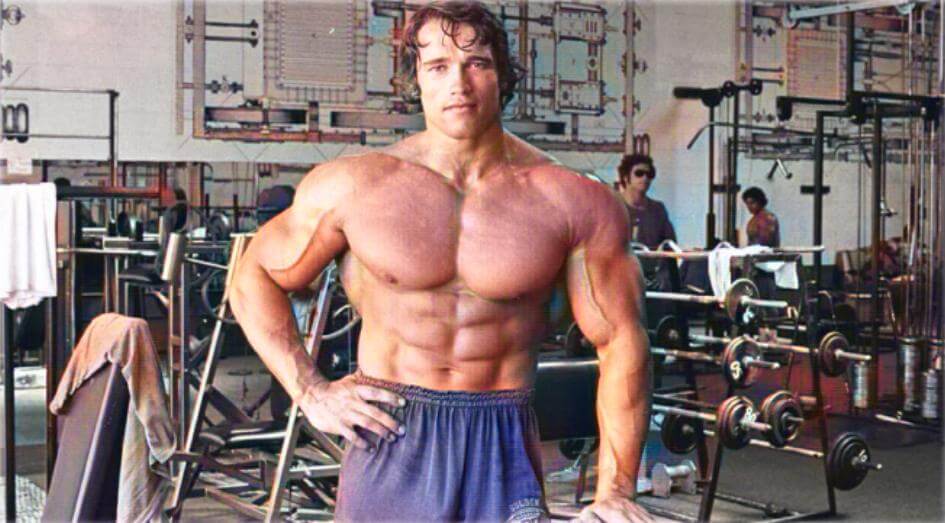 Arnold Schwarzenegger 2jpg