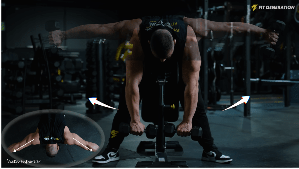 Los 5 mejores ejercicios para deltoides posterior (ranking) 16 » Tienda VitaSport Pájaros en banco inclinado mancuernas
