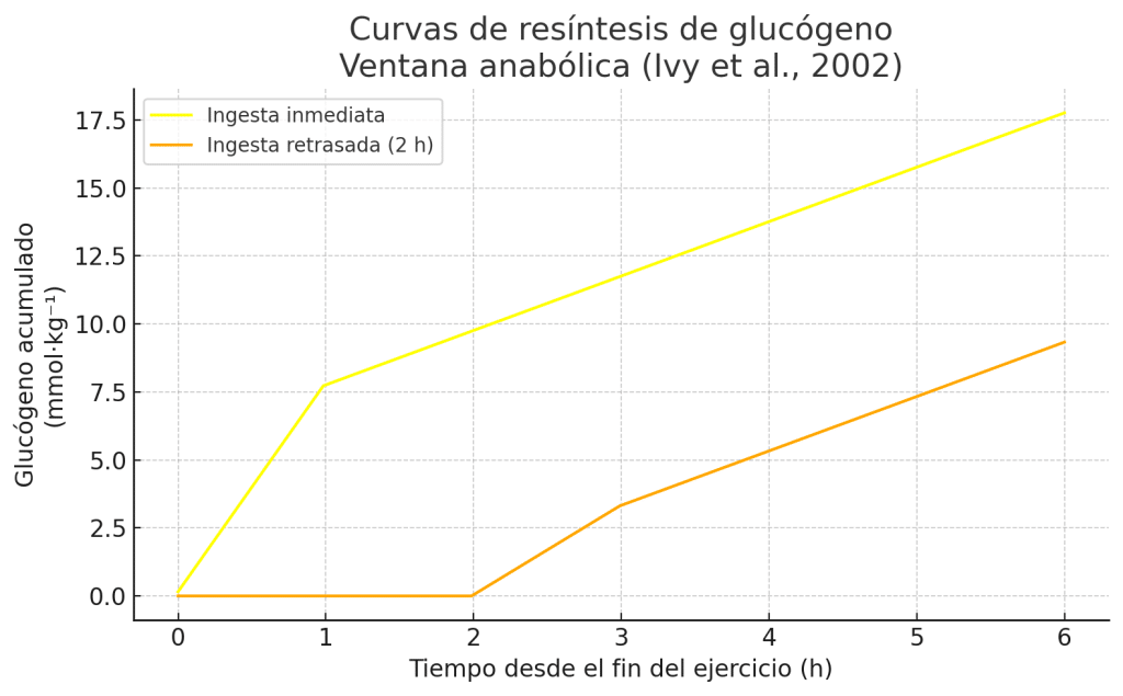 Curvas acumulación de glucógeno muscular