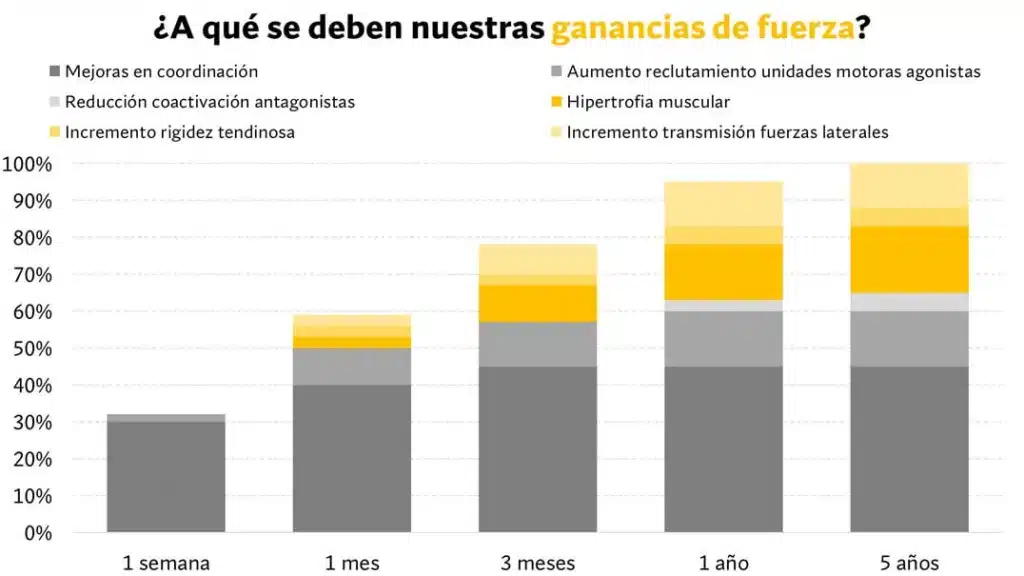 No cometas estos 5 errores al entrenar fuerza (powerlifting) 155 » Tienda VitaSport factores que infuyen para ganar fuerza