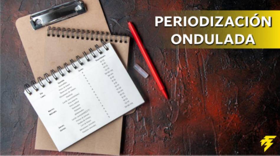 Periodizacion ondulada 1jpg