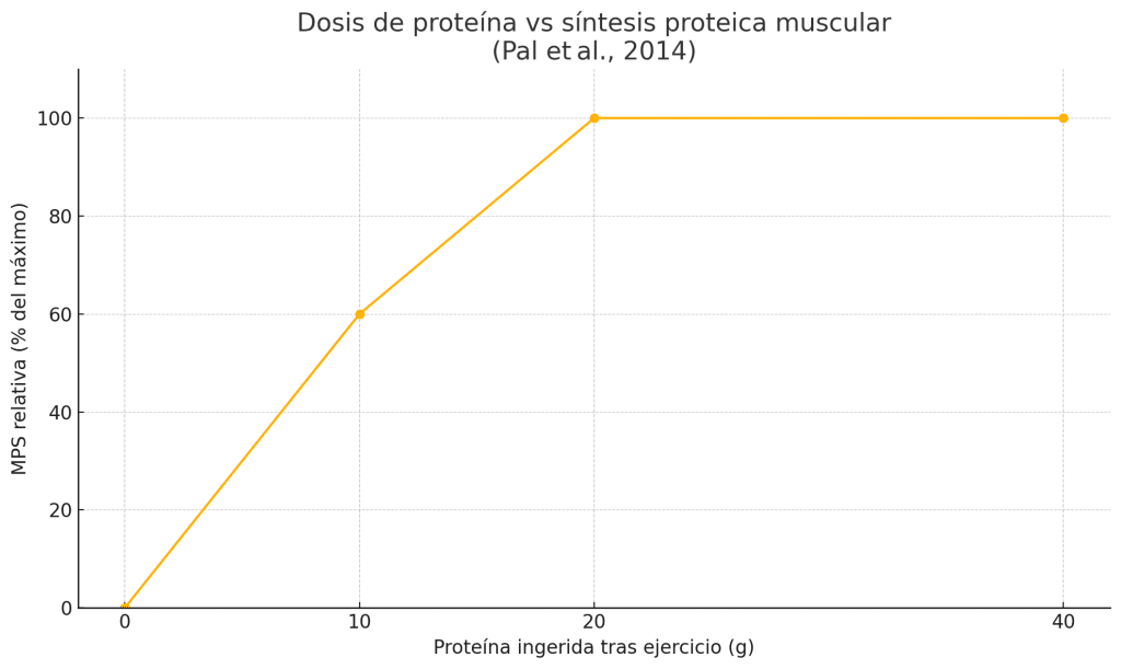 Dietista analiza y opina sobre el Queso 0% de Mercadona 3 » Tienda VitaSport Gráfica dosis de proteína vs síntesis