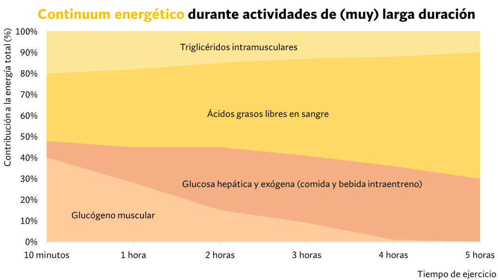 Resistencia Anaeróbica, ¿qué es y cómo entrenarla? 29 » Tienda VitaSport Teoría del Continuum Energético