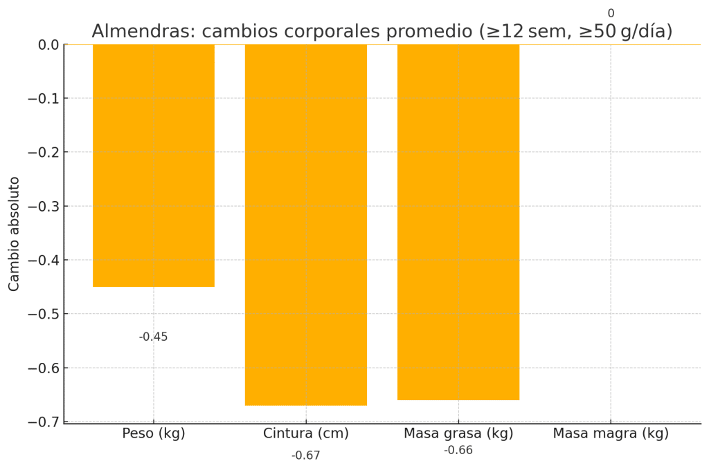 Almendras y composición corporal