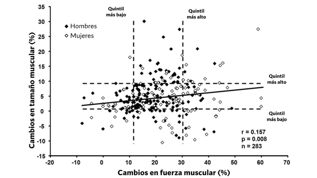 ¿Se puede ganar fuerza sin ganar volumen? 105 » Tienda VitaSport Cambios en la fuerza muscular