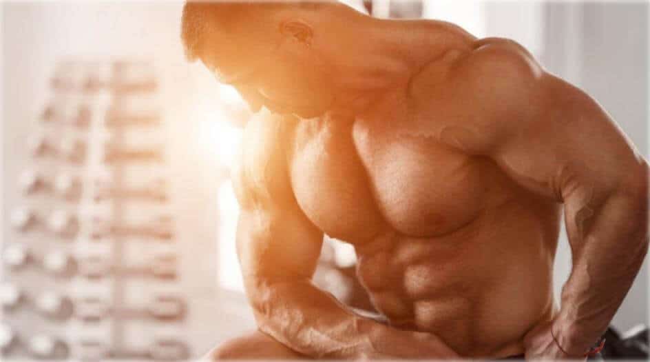 ¿Se puede ganar fuerza sin ganar volumen? 106 » Tienda VitaSport Adaptaciones a largo plazo