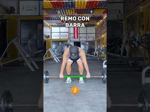 Los 7 mejores ejercicios para redondo mayor (espalda) 10 YouTube Video