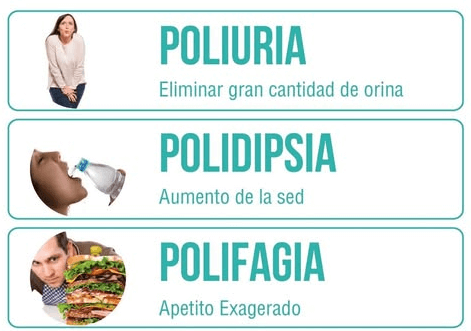 ¿Por qué los culturistas se inyectan insulina? 3 » Tienda VitaSport La triada de la diabetes