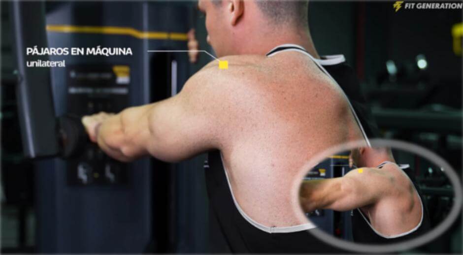 Los 3 mejores ejercicios para hombros redondos (según la ciencia) 14 » Tienda VitaSport Pájaros en máquina a una mano