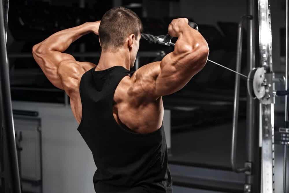 Los 7 mejores ejercicios para redondo mayor (espalda) 11 » Tienda VitaSport Ejecución del facepull