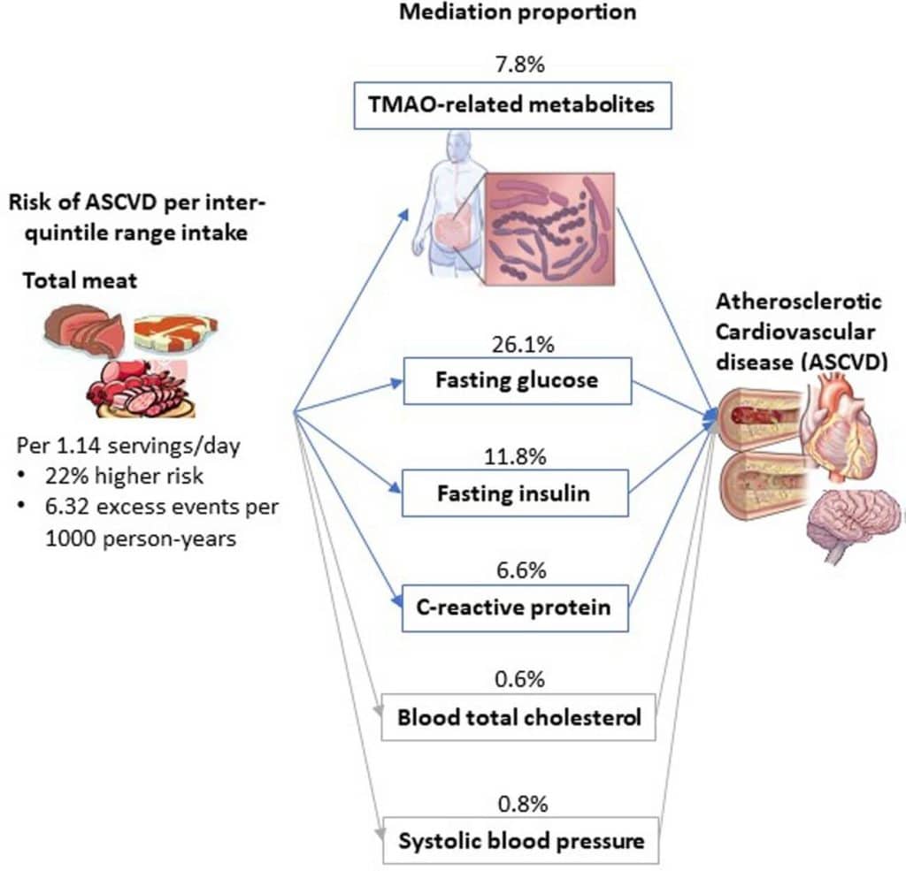 ¿Son tan malos los ultraprocesados como dicen? 7 » Tienda VitaSport Gráfico consumo de carne