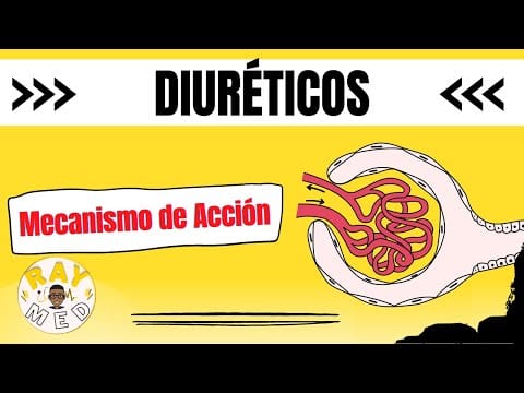 Potencial y riesgos de los Diuréticos en Culturismo 9 YouTube Video
