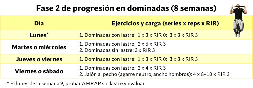 Cómo aumentar significativamente tu número de dominadas 16 » Tienda VitaSport Fase dos progresión en dominadas