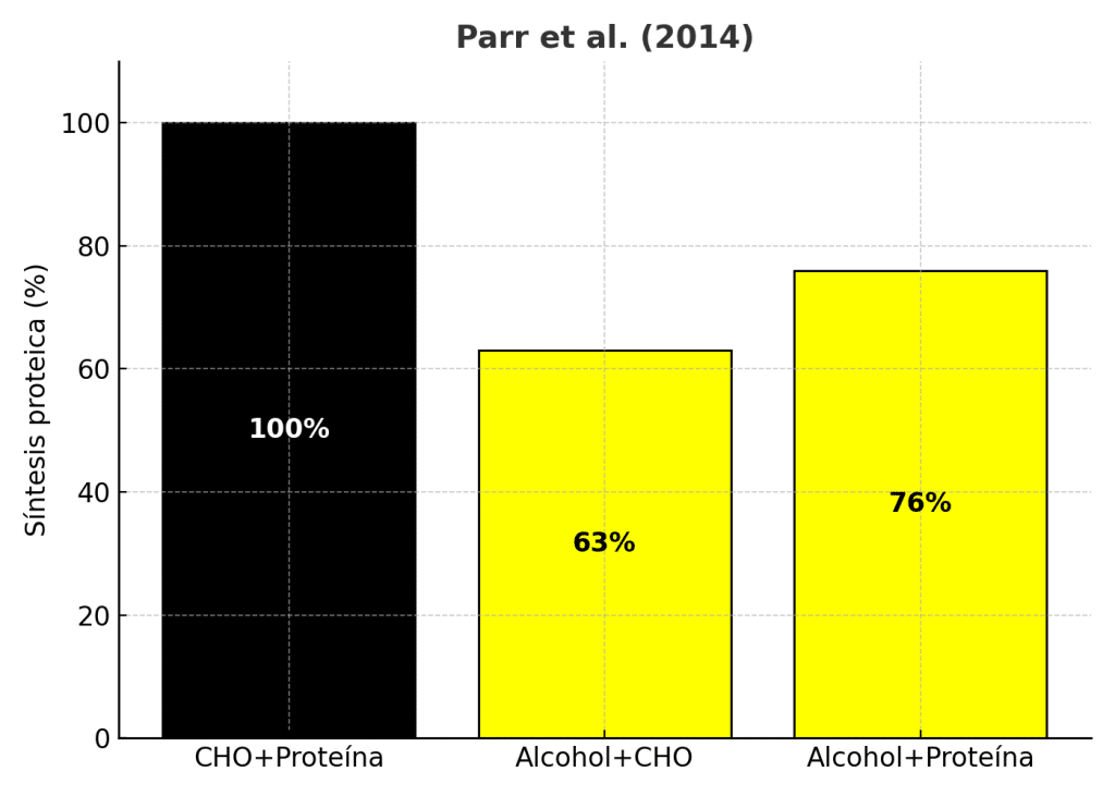 Cerveza y gimnasio, ¿cómo afecta a las ganancias musculares? 3 » Tienda VitaSport Reducción de síntesis proteica muscular