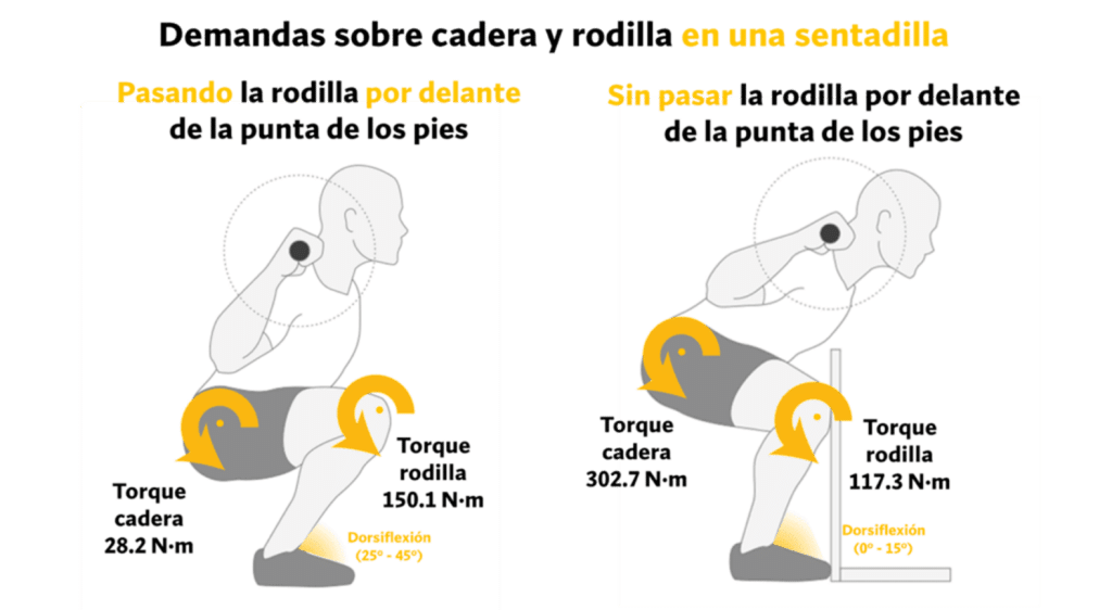 Demandas sobre cadera y rodilla sentadilla