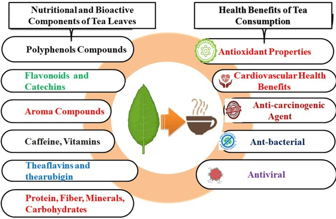 ¿Cuál es el mejor té para perder grasa? (basado en ciencia) 2 » Tienda VitaSport Tipos de té evaluados