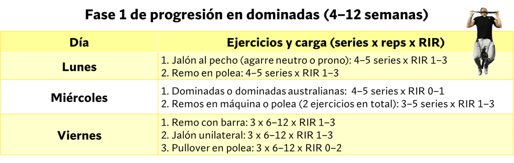 Cómo aumentar significativamente tu número de dominadas 13 » Tienda VitaSport Fase uno de progresión en dominadas
