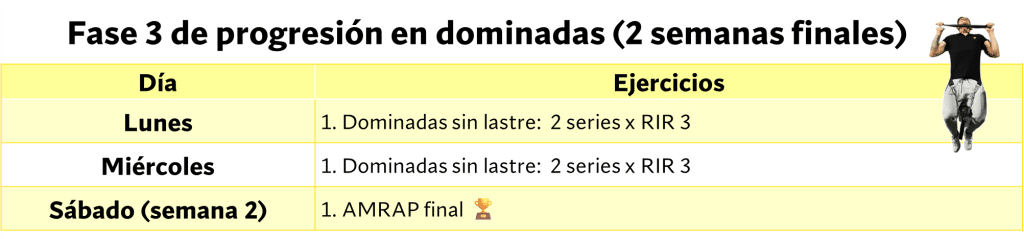 Cómo aumentar significativamente tu número de dominadas 19 » Tienda VitaSport Semanas finales progresión en dominadas