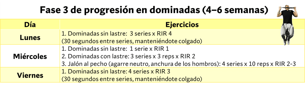 Cómo aumentar significativamente tu número de dominadas 17 » Tienda VitaSport Fase tres progresión en dominadas