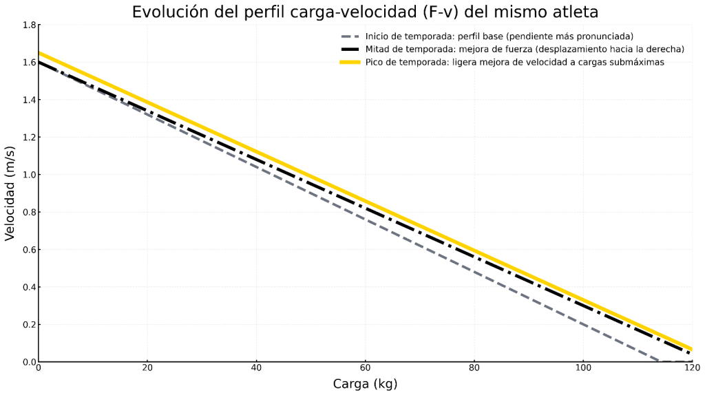 Cómo aumentar significativamente tu número de dominadas 3 » Tienda VitaSport Evolución del perfil carga velocidad