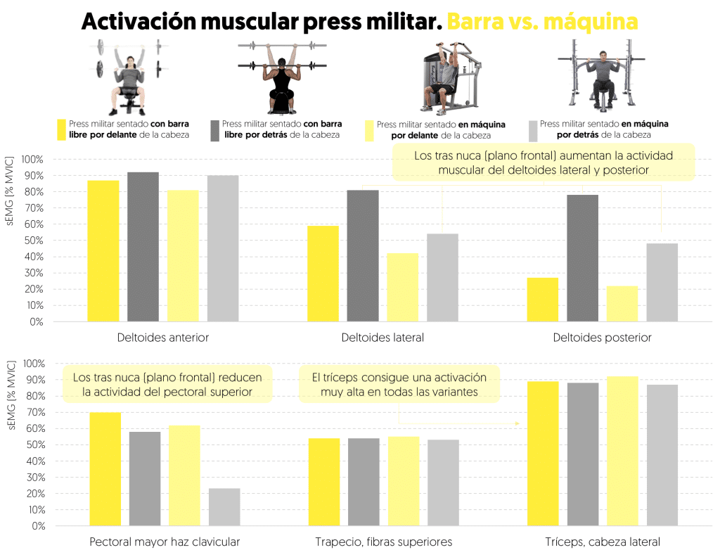 Press militar vs press tras nuca, ¿cuál es mejor? 13 » Tienda VitaSport Activación muscular principales grupos musculares