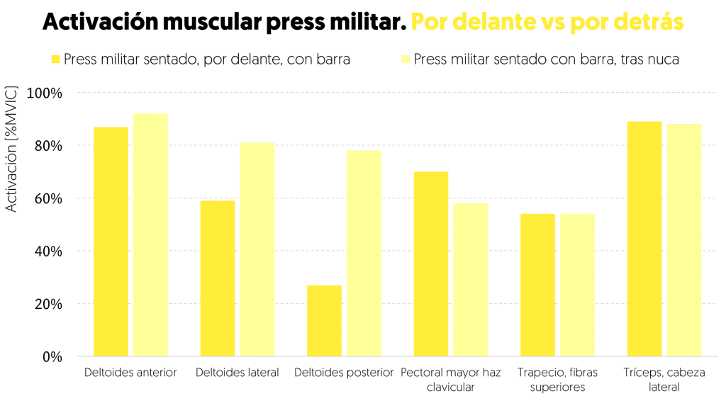 Press militar vs press tras nuca, ¿cuál es mejor? 9 » Tienda VitaSport Activación muscular principales grupos musculares