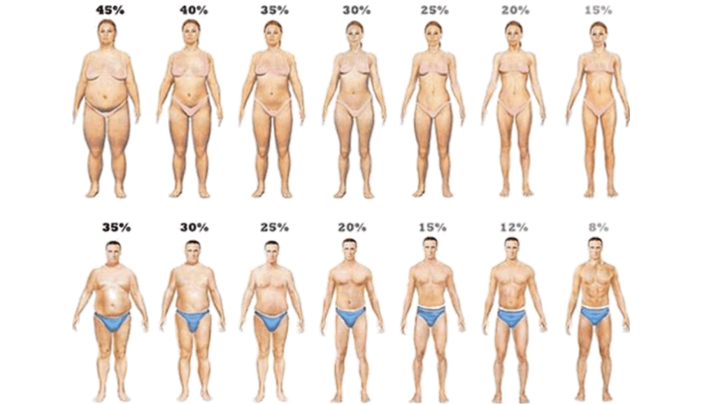 Ejemplo práctico de cómo hacer una recomposición corporal 10 » Tienda VitaSport Porcentajes grasos en hombres y mujeres