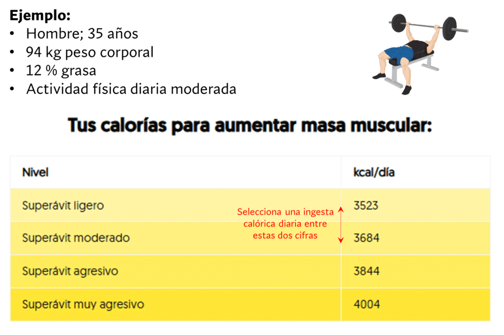 Ejemplo práctico de cómo hacer una recomposición corporal 12 » Tienda VitaSport Calorías para ganar masa muscular