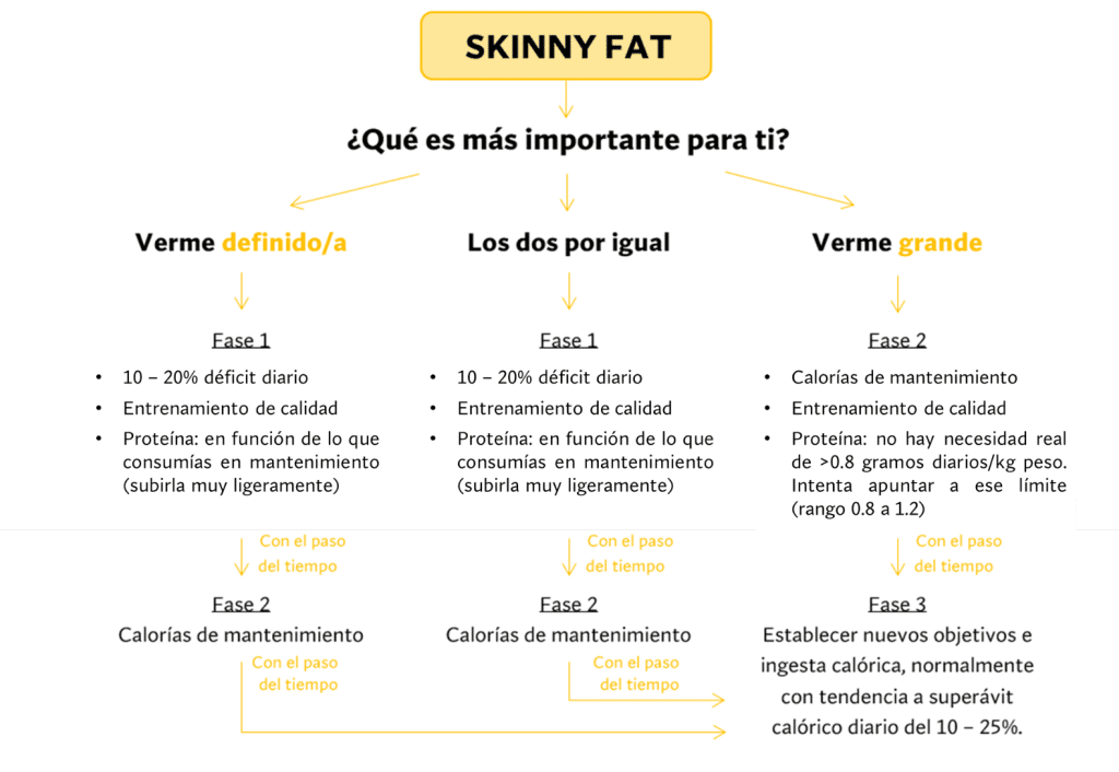 Ejemplo práctico de cómo hacer una recomposición corporal 5 » Tienda VitaSport Algoritmo de toma de decisiones