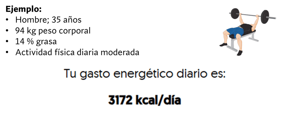 Ejemplo práctico de cómo hacer una recomposición corporal 8 » Tienda VitaSport Gasto energético diario